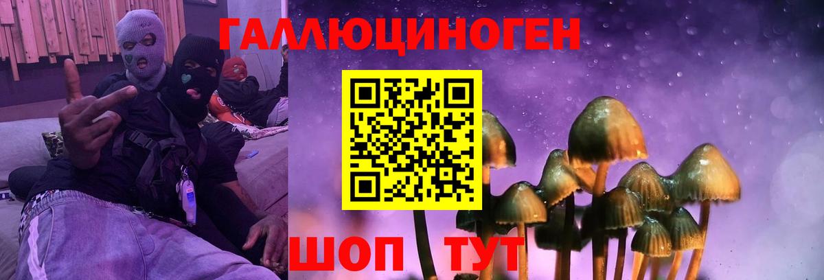 Галлюциногенные грибы Psilocybine cubensis  Вход с VPN  Астрахань  Галлюциногенные грибы Cubensis 